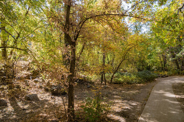Beautiful fall color around West Fork hiking area