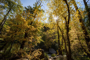 Beautiful fall color around West Fork hiking area