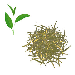 Green tea. Dry tea and green tea leaves. Isolated vector image on white background.