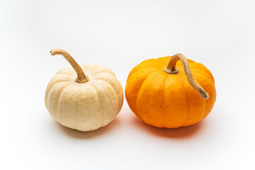 small decorative pumpkins on the white background