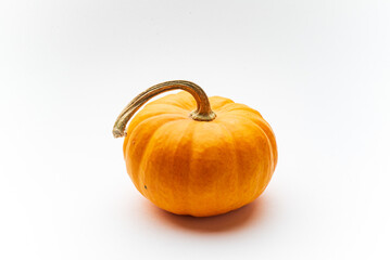 small decorative pumpkins on the white background