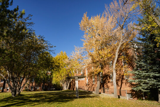 Beautiful Fall Color Around The Campus Of Northern Arizona University