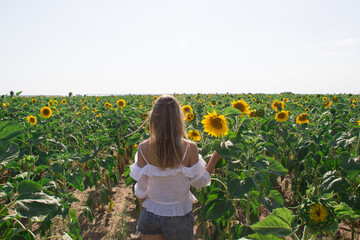 young blond woman stand on sunflower field