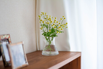 室内に注ぐ光を浴びるマトリカリアの花と写真立て