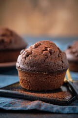 Chocolate muffins with chocolate drops on a dark background.