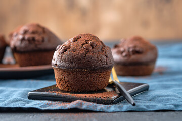 Chocolate muffins with chocolate drops on a dark background.