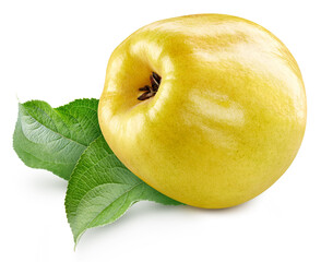 One ripe quince with green leaf clipping path