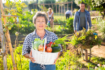 Portrait of elderly woman posing with basket full of harvested vegetables and greens at smallholding