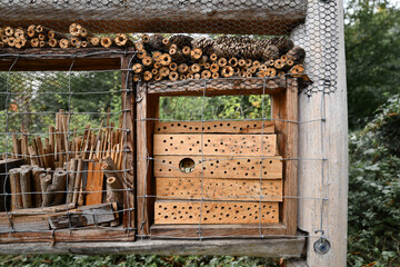 Detail of part of insect house hotel structure made out of natural wood material created to provide...