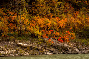 some trees in autumn colors in the Diois, France
