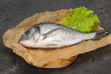Raw Dorada fish  for cooking