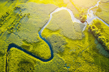 Aerial drone view of winding river in green field. Lush wetlands of bird's eye view. © Leonid Tit