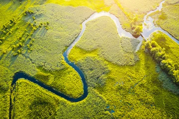 Luftdrohnenansicht des gewundenen Flusses im grünen Feld. Üppige Feuchtgebiete aus der Vogelperspektive. © Leonid Tit