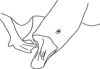 Simple vector drawing of a goose head, neck and paws outline.  Creative picture with farm animal goose.