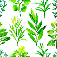 seamless pattern with culinary herbs and spices