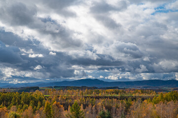 10月終盤の美瑛の紅葉
