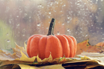Halloween pumpkin and autumn leaves near the window with raindrops. Minimal Holiday season concept...