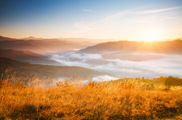 Tranquil morning moment in alpine valley. Fantastic sunset scene.