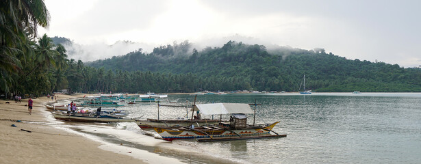 Boat anchored at the Port Barton tropical beach with palm trees on Palawan island in the...