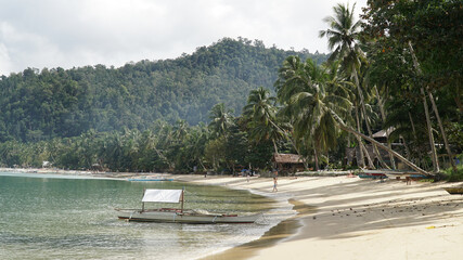 Port Barton tropical beach with palm trees on Palawan island in the Philippines.
