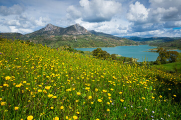 Spring landscape with turquoise waters of Zahara-el Gastor reservoir surrounded by mountains, Spain