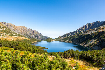 Crystal blue mountain lake Wielki Staw in High Tatra Mountains, Five Polish Ponds Valley (Dolina Pieciu Stawow Polskich) in autumn, seen through mountain pine bushes.