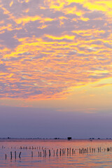 Cottage on the sea at 