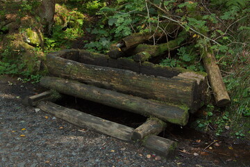 Water spring at the river Vydra in Bohemian Forest in Czech republic,Europe
