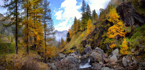 Stunning autumn alpine landscape with colorful redwood forest and beautiful yellow larches.