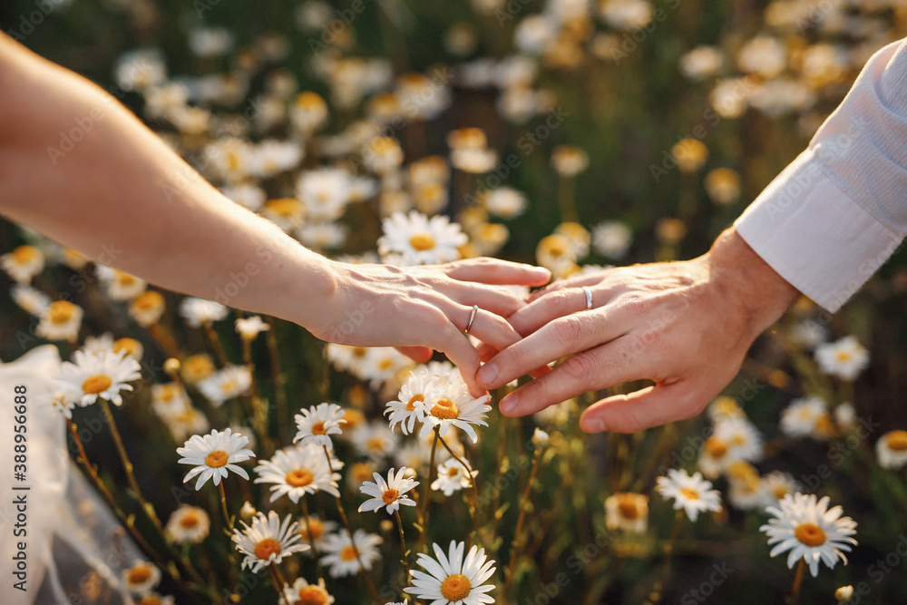 Wall mural a man and a woman holding hands with wedding rings on a background of daisies wedding couple holding