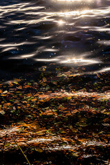 Herbst Laub auf Wellen im See mit Reflektionen