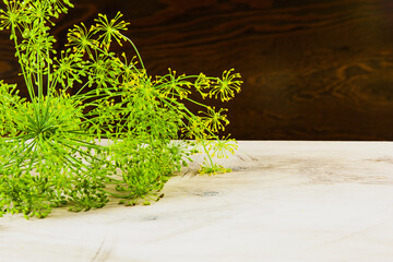 Dill on the grey wood textured background, fresh vegetables, summer in the garden.
