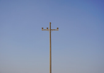 old wooden electric post with out electric line
