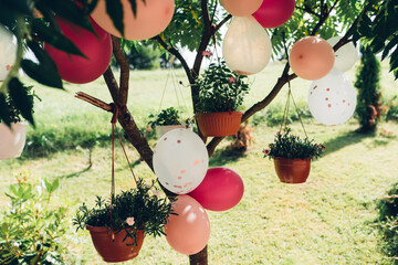 Balony na drzewie