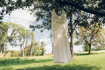 Suknia ślubna na drzewie