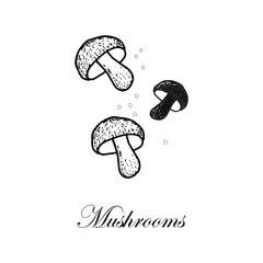 Isolated elements on a white background. Black and white image. Falling champignon mushrooms. Doodle style. Vector. White and black mushrooms. Ideal for menus, cards and recipes.