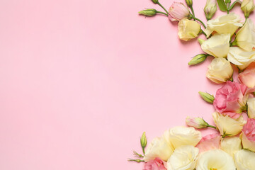 Naklejka na ściany i meble Beautiful Eustoma flowers on pink background, flat lay. Space for text
