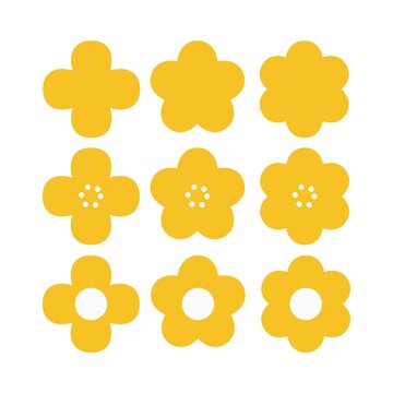 Set of different yellow flowers on white background