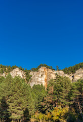 Fototapeta na wymiar Vertical rock cliffs over the pine tree forest under blue sky