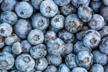 Close up of a fresh harvested raw blueberries, fruit concept