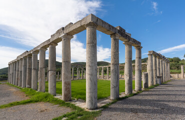 Fototapeta premium Ruins of the Palestra in the Ancient Messene archeological site, Peloponnese, Greece. One of the best preserved ancient cities in Greece