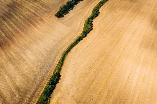Abstract aerial view of mowed field divided by trees in O&szlig;mannstedt, Th&uuml;ringen, Germany.