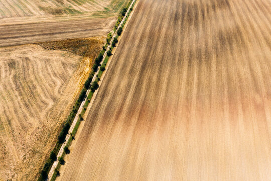 Abstract aerial view of mowed field divided by trees in O&szlig;mannstedt, Th&uuml;ringen, Germany.