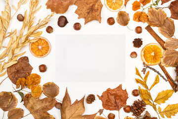 Tarjeta blanca junto a hojas secas, rodajas de naranjas, avellanas, piñas sobre un fondo blanco. Vista superior. Copy space. Concepto: Estilo de vida