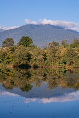 Autumn tree reflections in the mountain lake