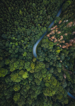 Abstract aerial view of road trough forrest in National Park S&auml;chsische Schweiz, Germany.