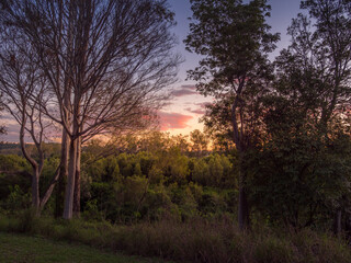 Fototapeta na wymiar Sunset Clouds Framed by Trees