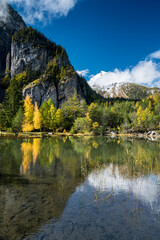 Fototapeta na wymiar autumn forest at Lac de Derborence with reflection in Valais