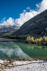 yellow larch in autumn at Lac de Derborence in valais