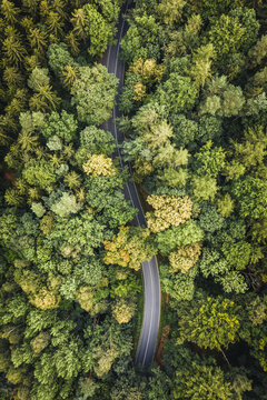 Abstract Aerial View Of Road Trough Forrest In National Park Sächsische Schweiz, Germany.